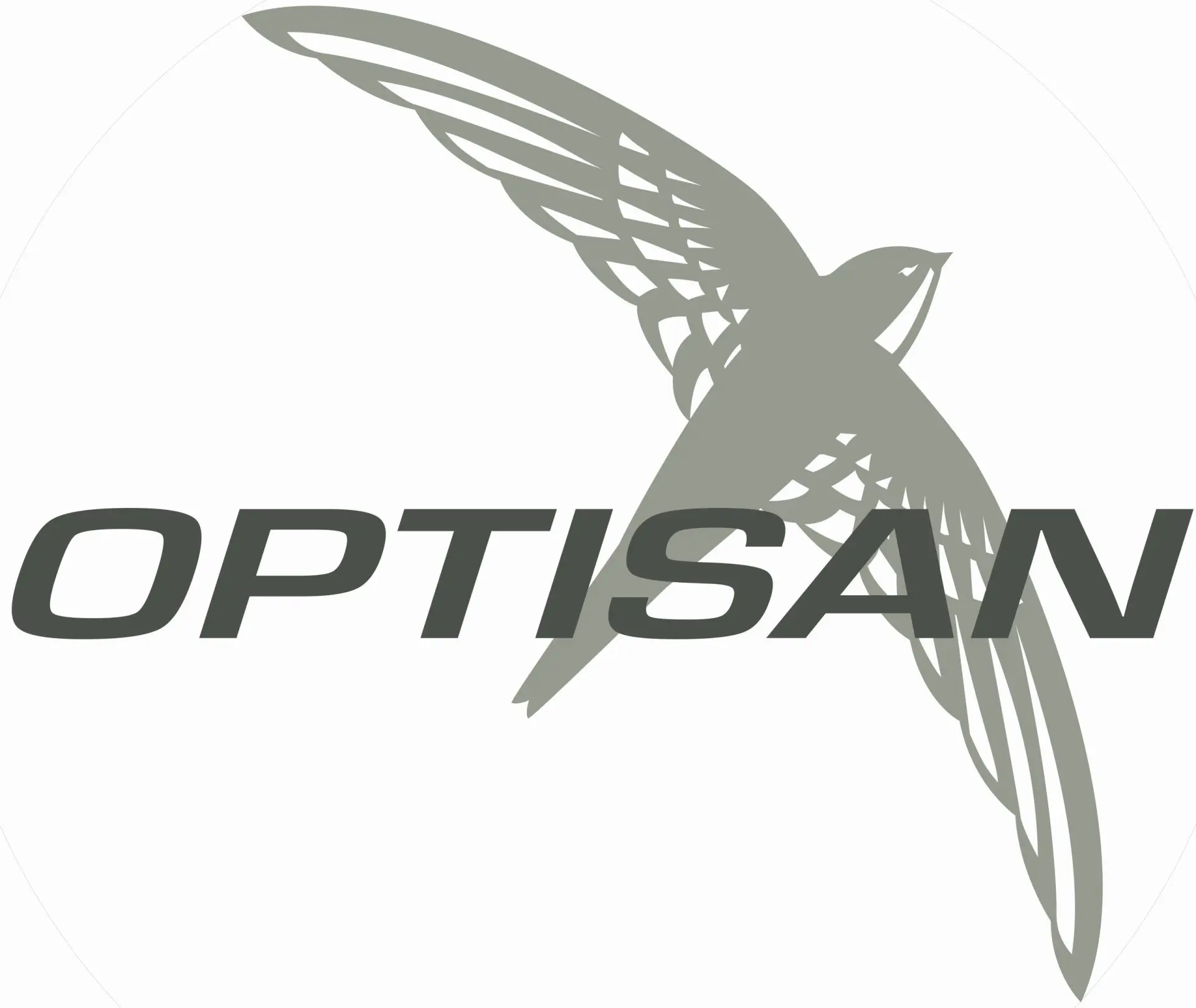 Optisan : Brand Short Description Type Here.